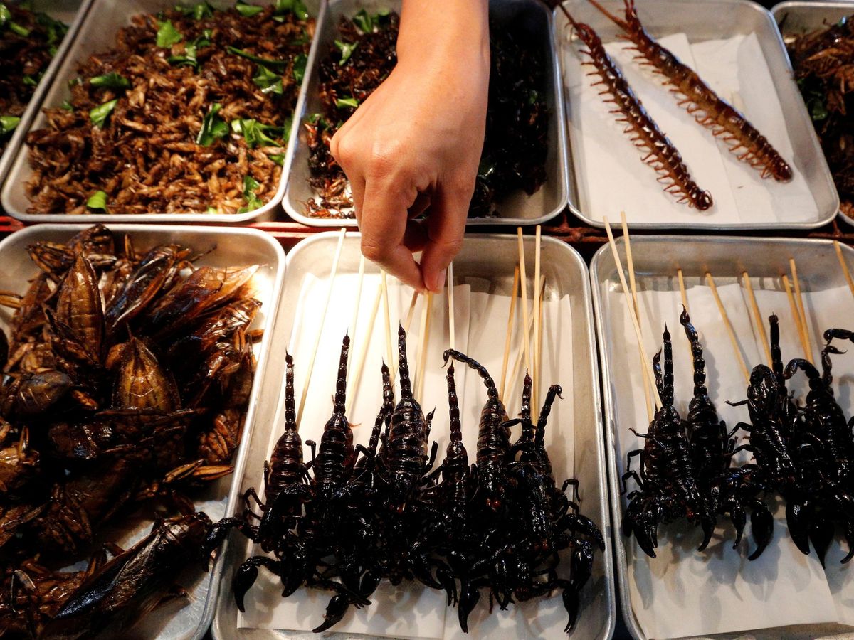 Foto: Diversos insectos fritos en un mercado de Bangkok, Tailandia. (EFE/Narong Sangnak)