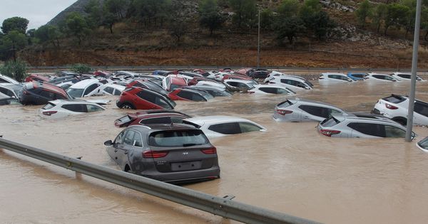 Foto: Cientos de coches en Orihuela (Alicante).