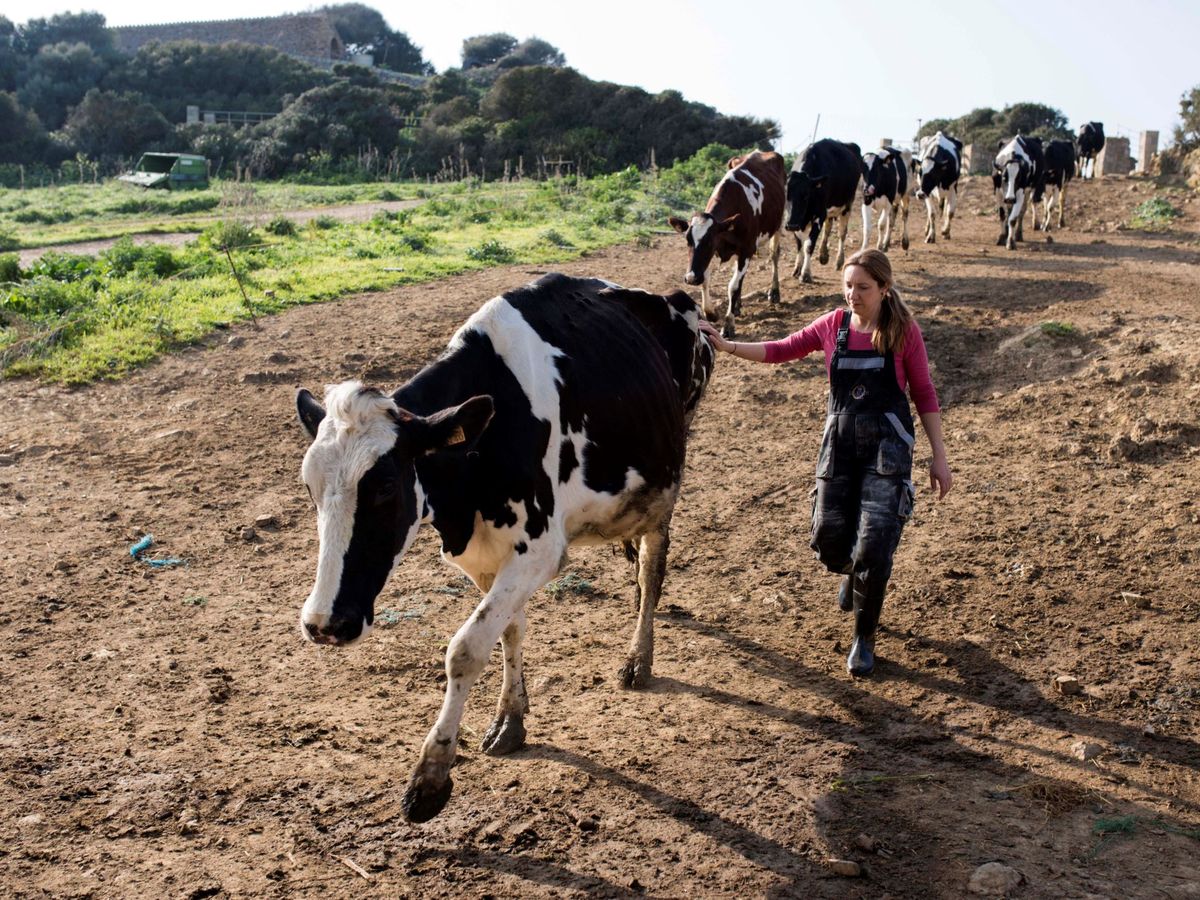 Foto: El mundo rural es clave para avanzar en términos de sostenibilidad. (EFE)