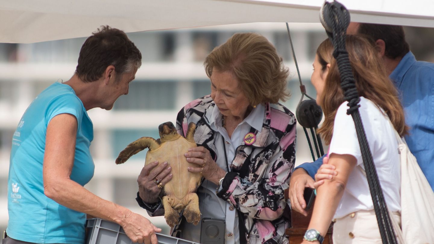 La reina Sofía sostiene una tortuga que libera poco después tras ser rescatada de redes de pesca. (EFE/Pool/Atienza)