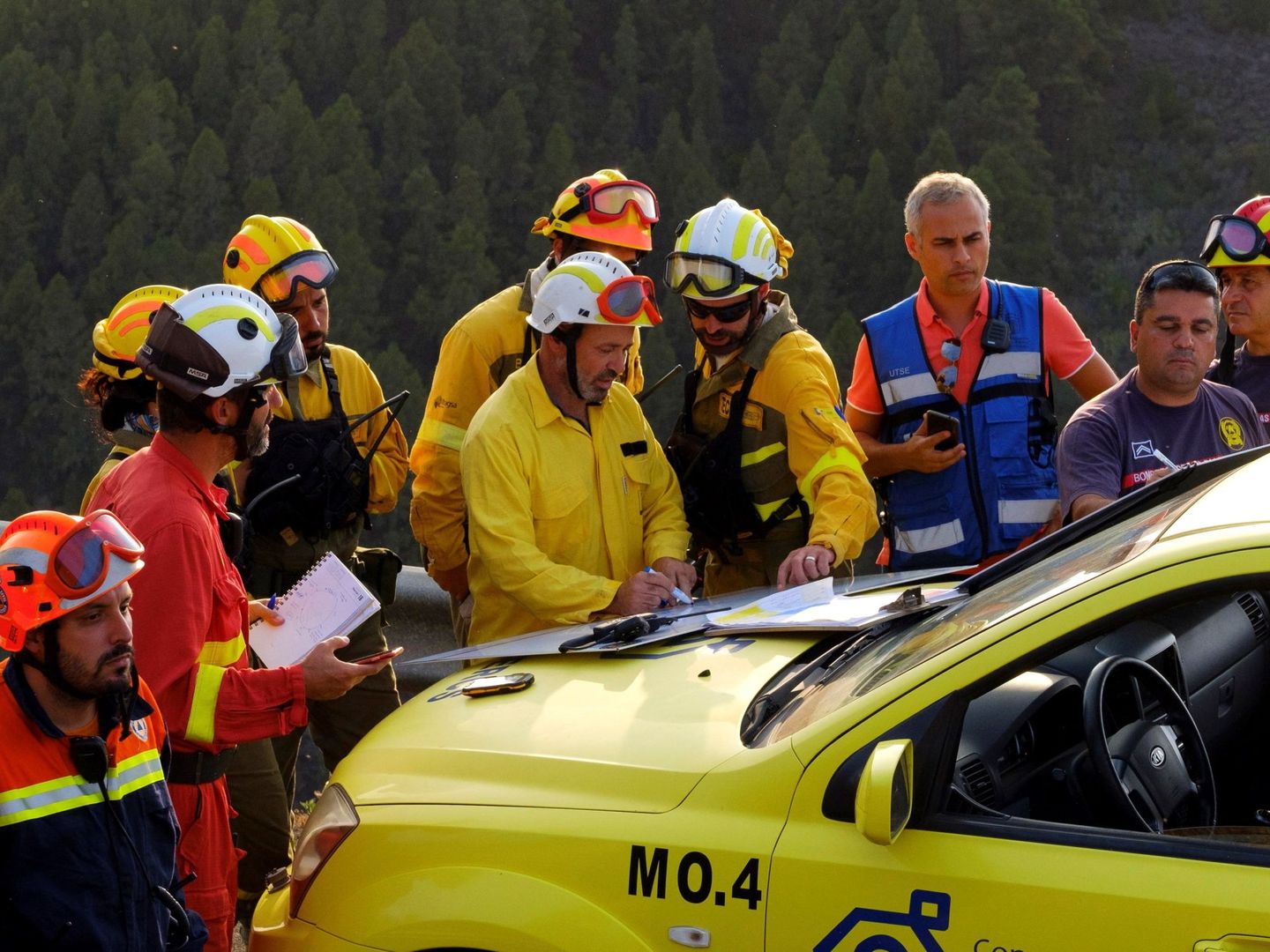 Los bomberos estudian el incendio forestal que se declaró a primera hora de la tarde del sábado en Valleseco. (EFE)