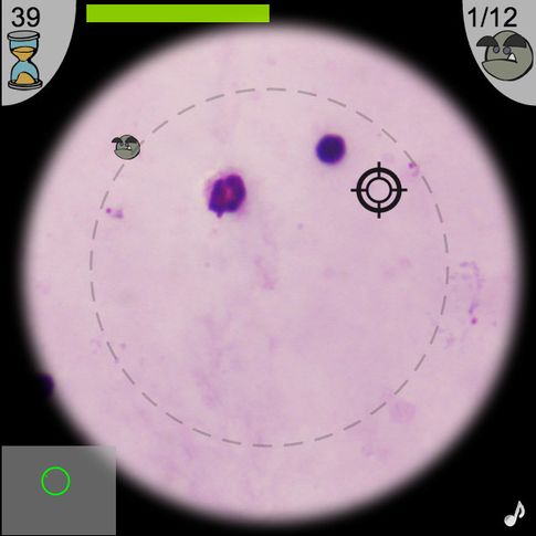 Imagen del videojuego Malaria Spot.