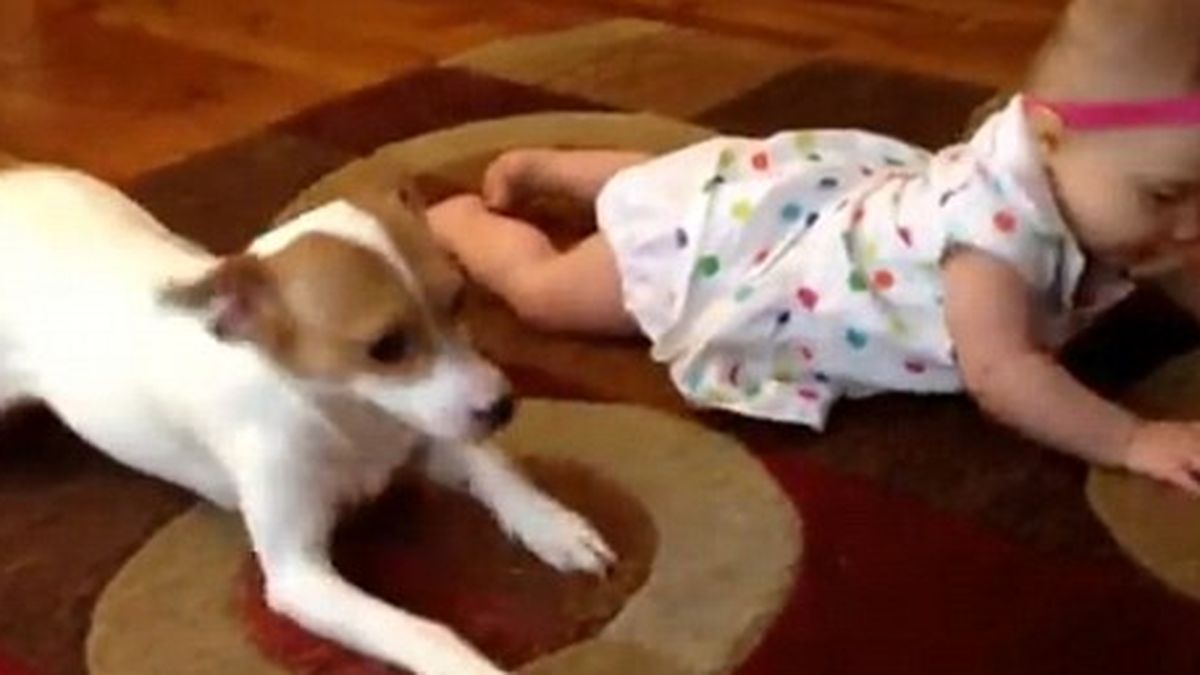 El bebé, el perro y “la cosa más bonita que hemos visto nunca”, según Time Magazine