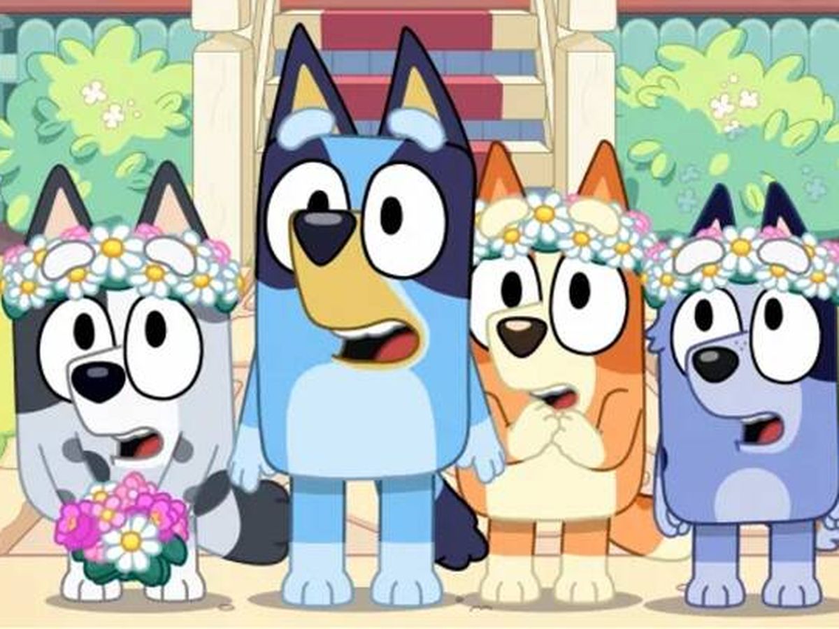 Foto: Imagen de los perros protagonistas de 'Bluey' (Disney )