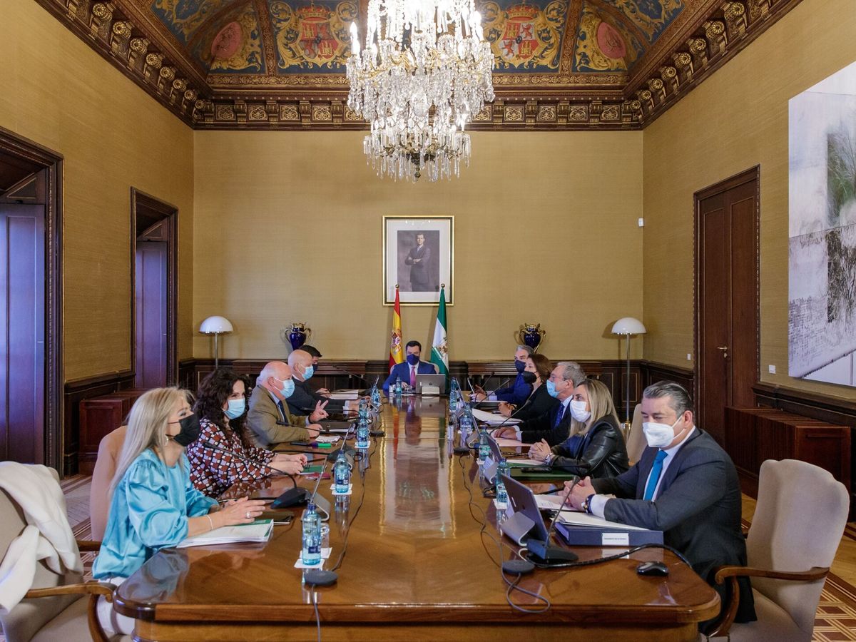 Foto: Reunión del Consejo de Gobierno de la Junta. (EFE/Julio Muñoz)