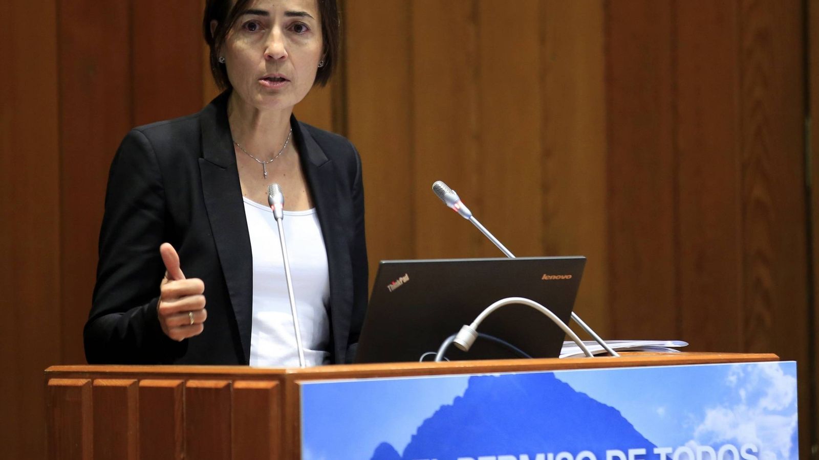 Foto: María Seguí en su intervención sobre el carné por puntos. EFE/Zipi