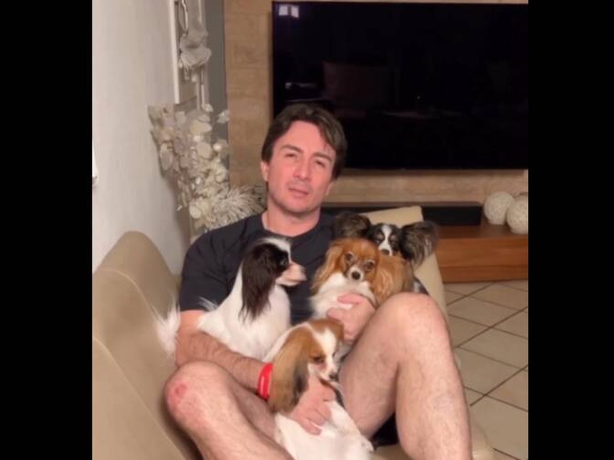 Foto: Joao reunido de nuevo con sus cuatro perros (Instagram/@joaopaulodecosta)