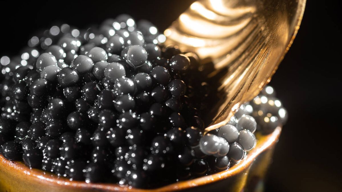 Todo lo que necesitas saber sobre el caviar