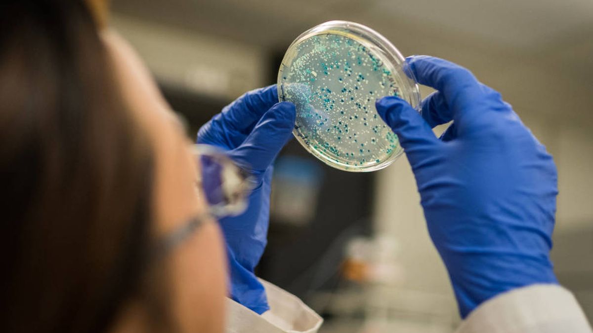 Crean el primer 'mapa' de la microbiota para saber qué bacterias nos faltan