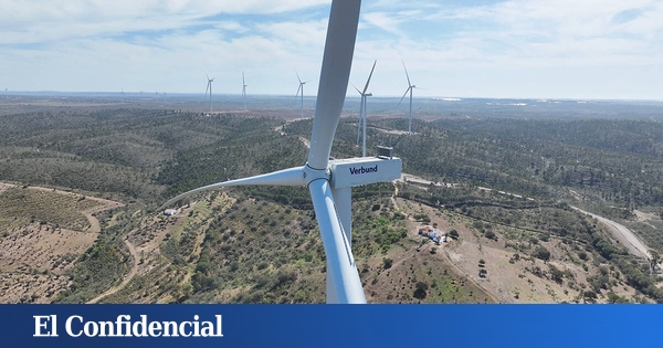 www.elconfidencial.com