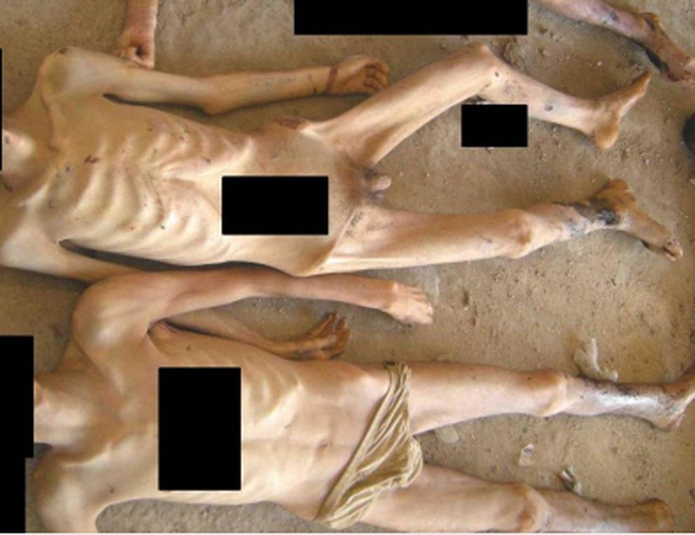 Cadáveres de presos en una imagen del informe.