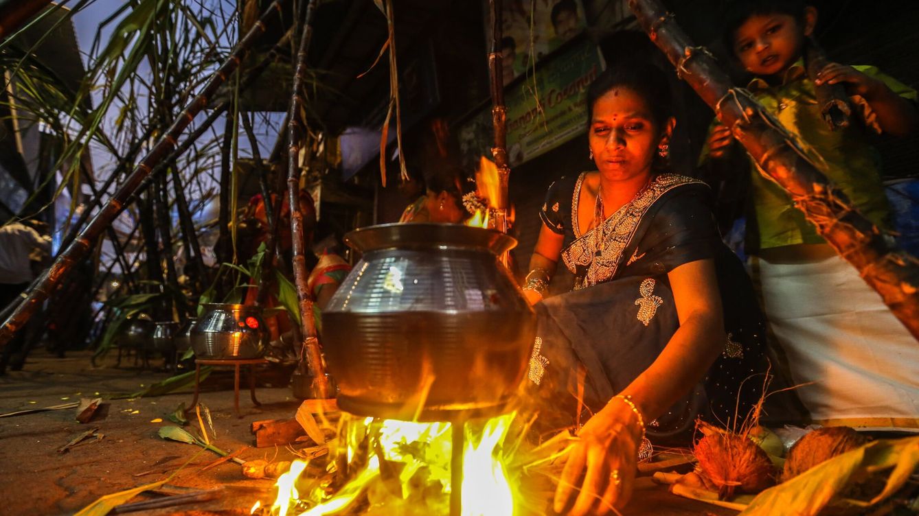 Foto: Celebración del festival Thai Pongal en Bombay, India. (EFE/Divyakant Solanki)