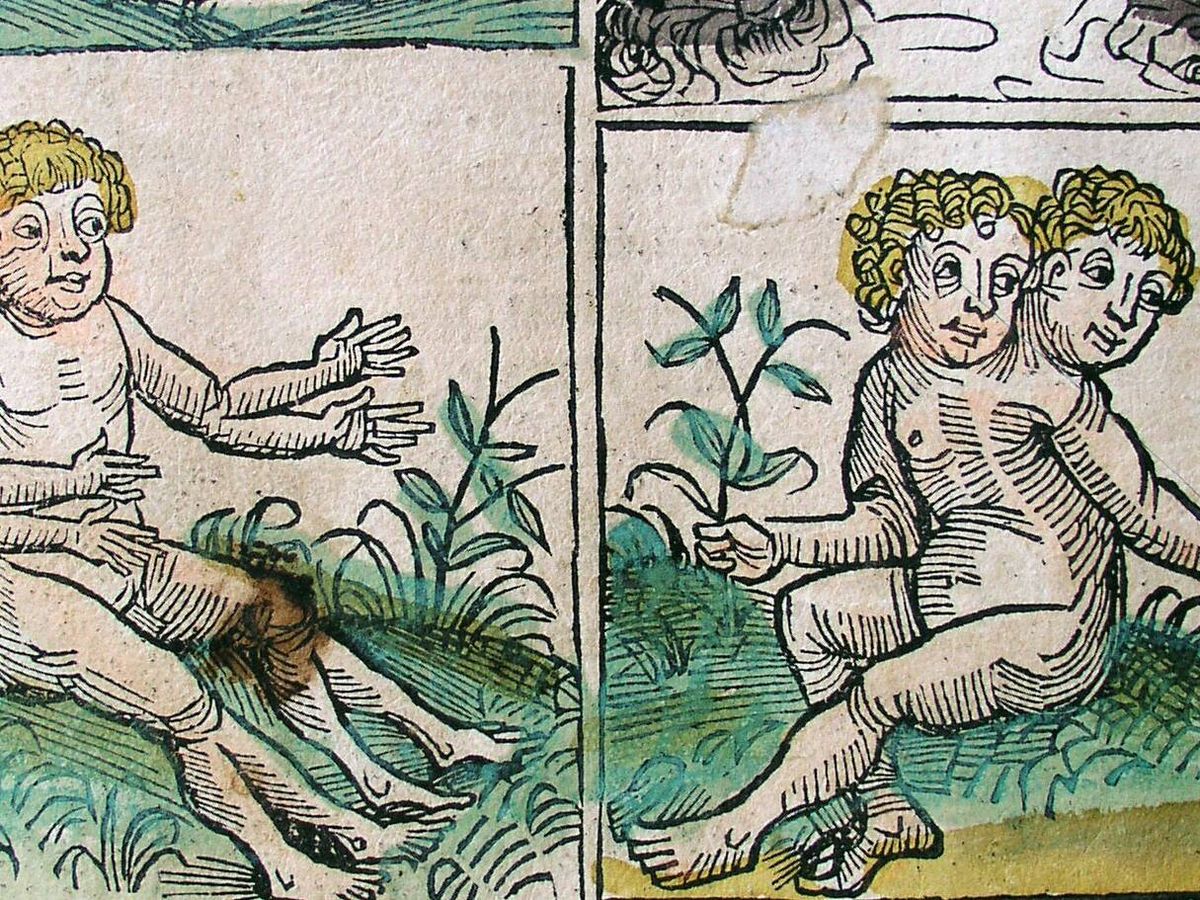 Foto: Nacimientos monstruosos y presagios en la Crónica de Nuremberg. (Wikimedia)