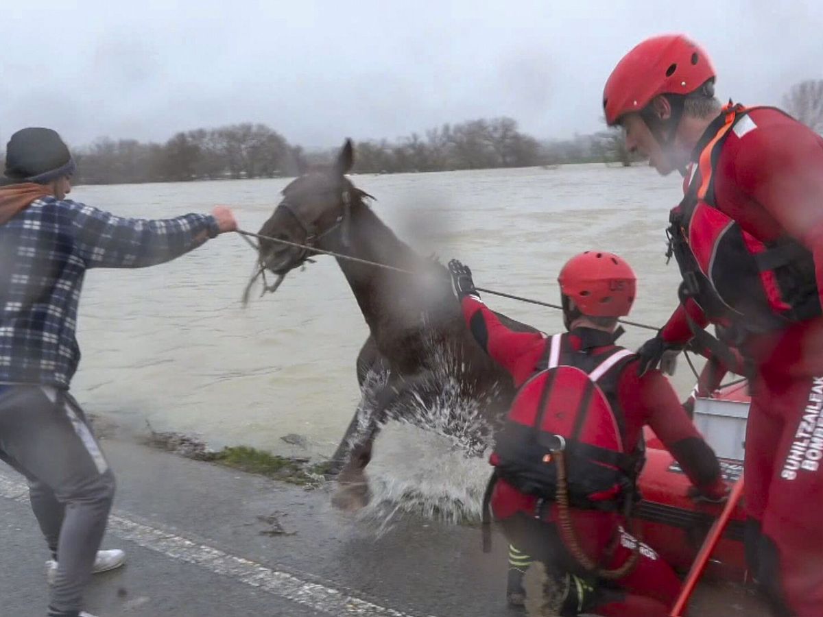 Foto: Los bomberos rescatan a un caballo atrapado en unos terrenos inundados por las fuertes lluvias en Jundiz (Vitoria). (EFE TV)