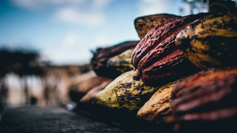 El potencial del cacao natural para tiempos de confinamiento