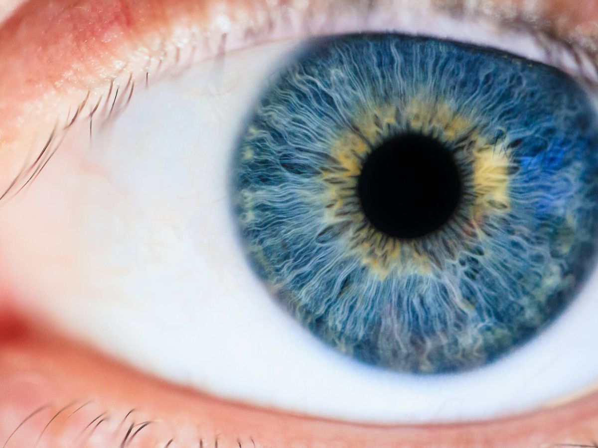 Foto: Este fármaco podría ofrecer esperanza a millones de personas que padecen retinopatía diabética. (Pexels)