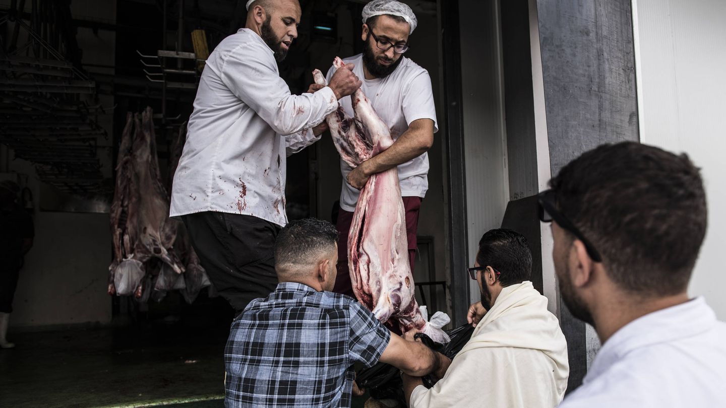 Un grupo de musulmanes recogen su cordero. 