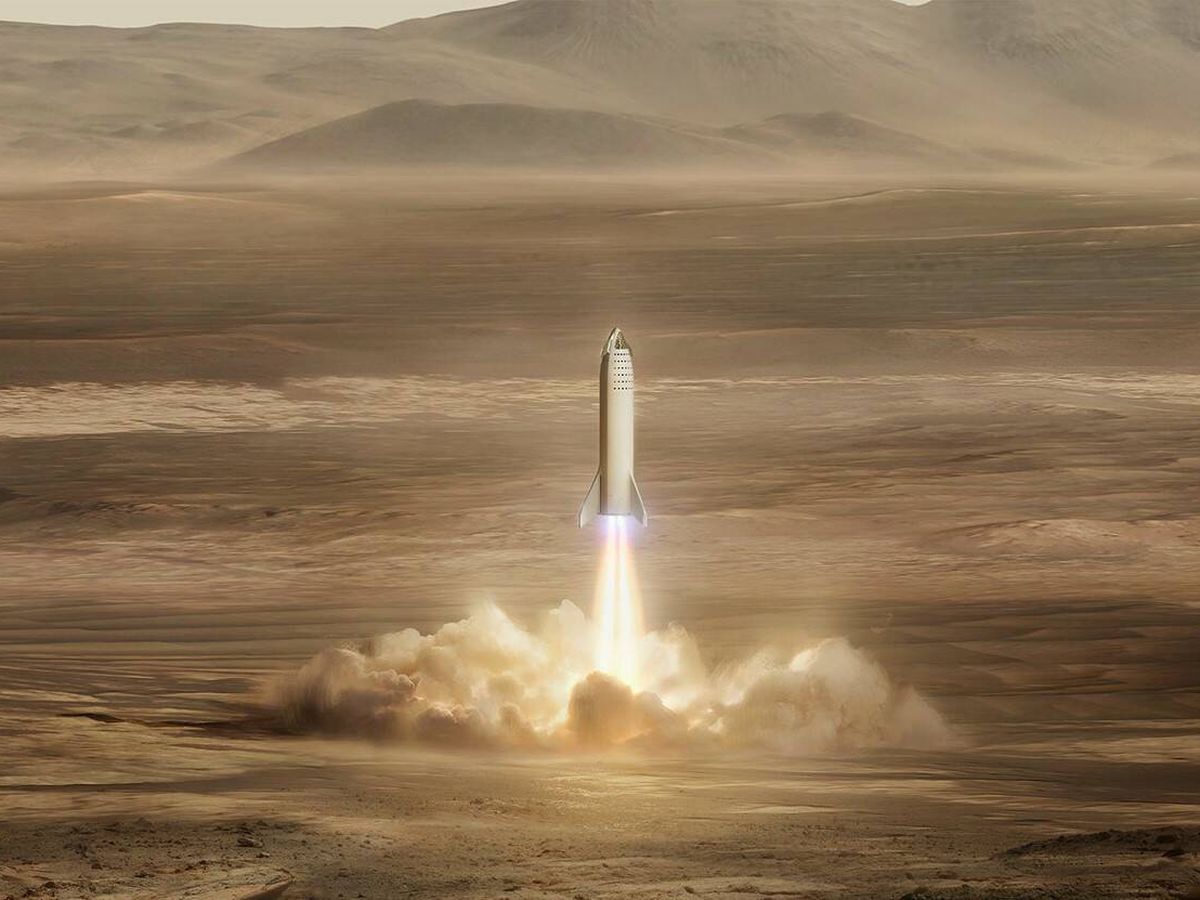 Foto: Musk quiere salvar a los animales de la extinción con una nueva arca de Noé. (SpaceX)