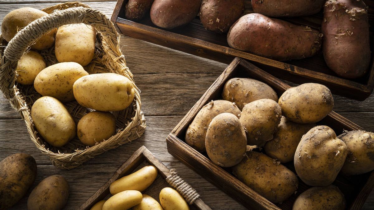 Vivir solo de patatas: el experimento para encontrar el alimento 'único'