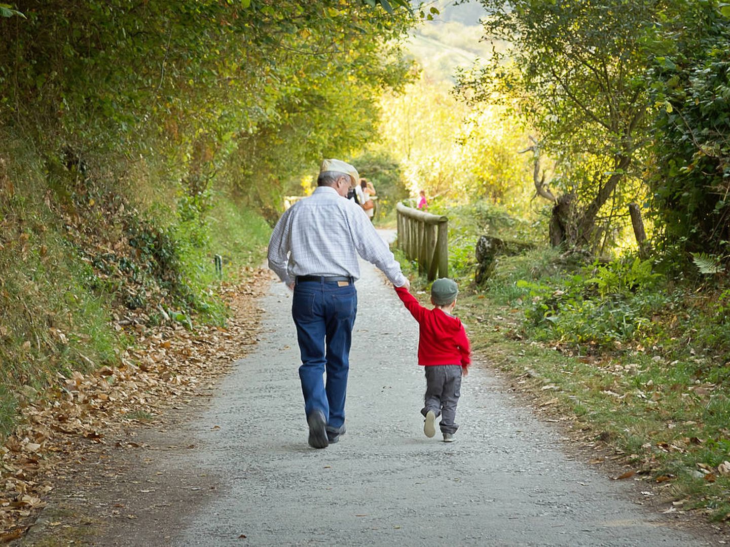 Back view of grandfather and grandchild walking in a nature path