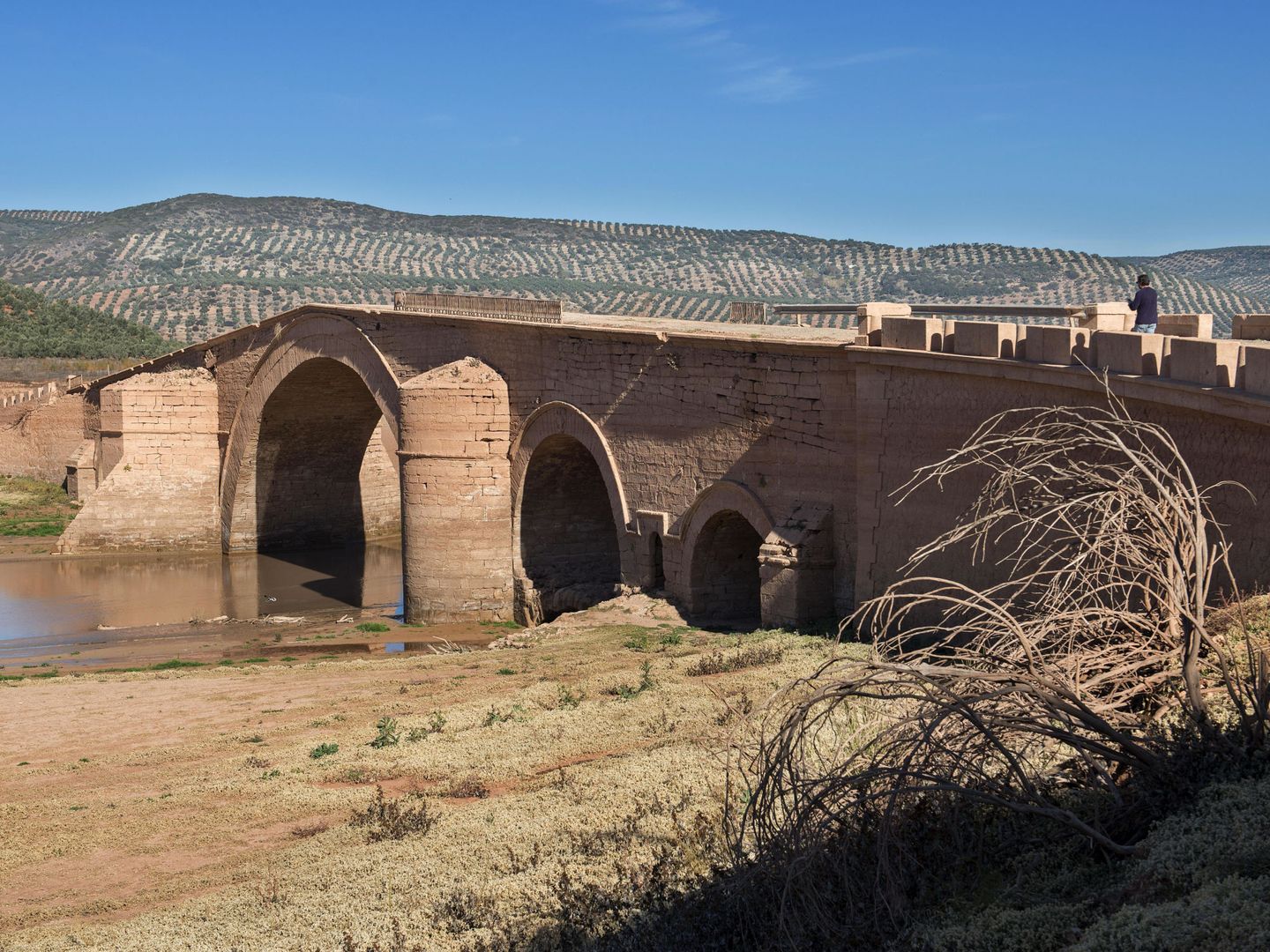Entre linares y Úbeda (jaén) está el puente de Ariza, visible solo en épocas de sequía. (EFE/José Manuel Pedrosa)