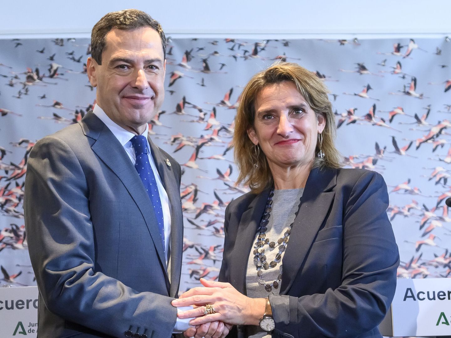 La ministra Teresa Ribera, muy satisfecha porque acaba de firmar un acuerdo con la Junta de Andalucía para los regadíos en Doñana. (EFE/Raúl Caro)