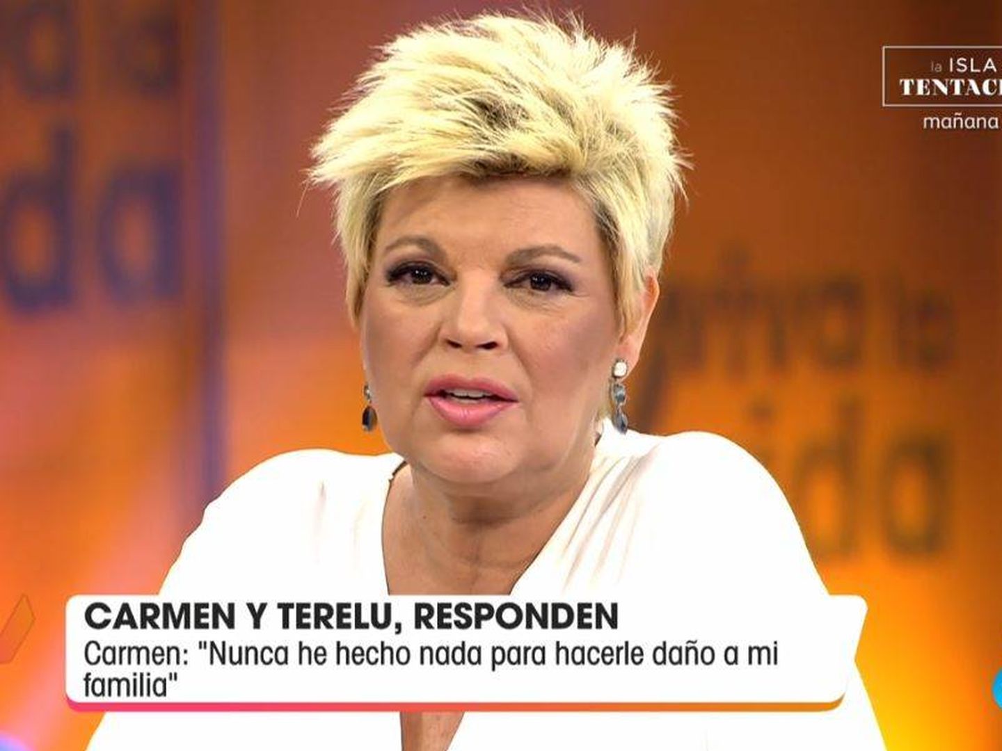 Terelu Campos, en 'Viva la vida'. (Mediaset España)
