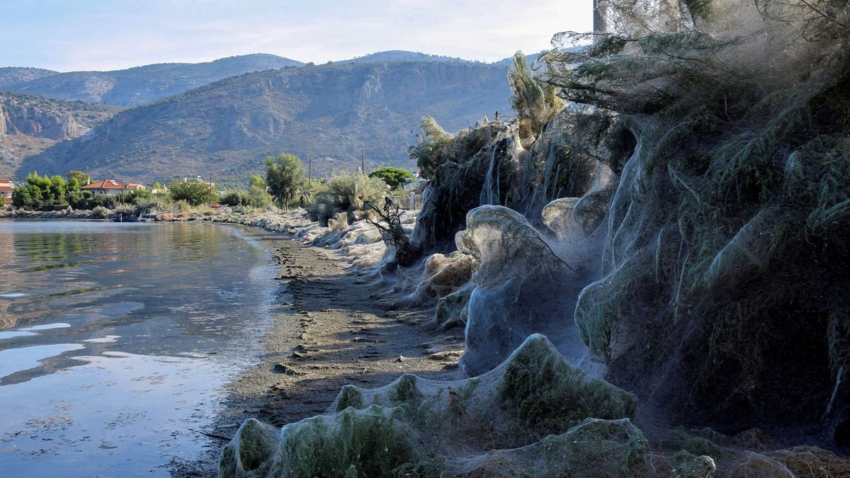 ¿De dónde viene la misteriosa telaraña de 300 metros que cubre una playa de Grecia?
