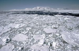 Un estudio desvela que el cierre de la capa de ozono favorece el deshielo de la Antártida