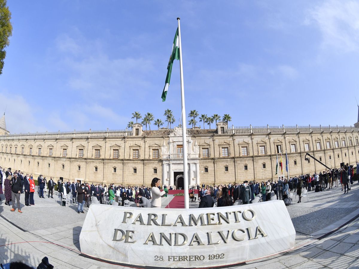 Foto: Celebración en el Parlamento de Andalucía. (EFE/Raúl Caro)