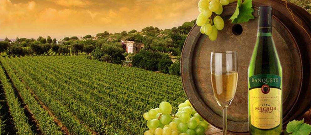 Una imagen promocional del vino sauvignon blanc 