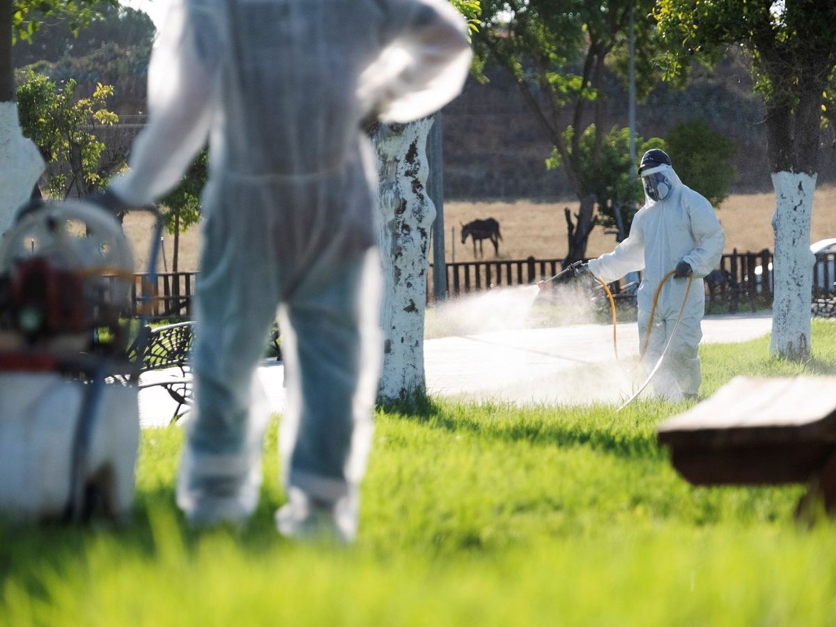 Foto: Un operario fumiga unos jardines en La Puebla del Río contra el virus del Nilo. (EFE)