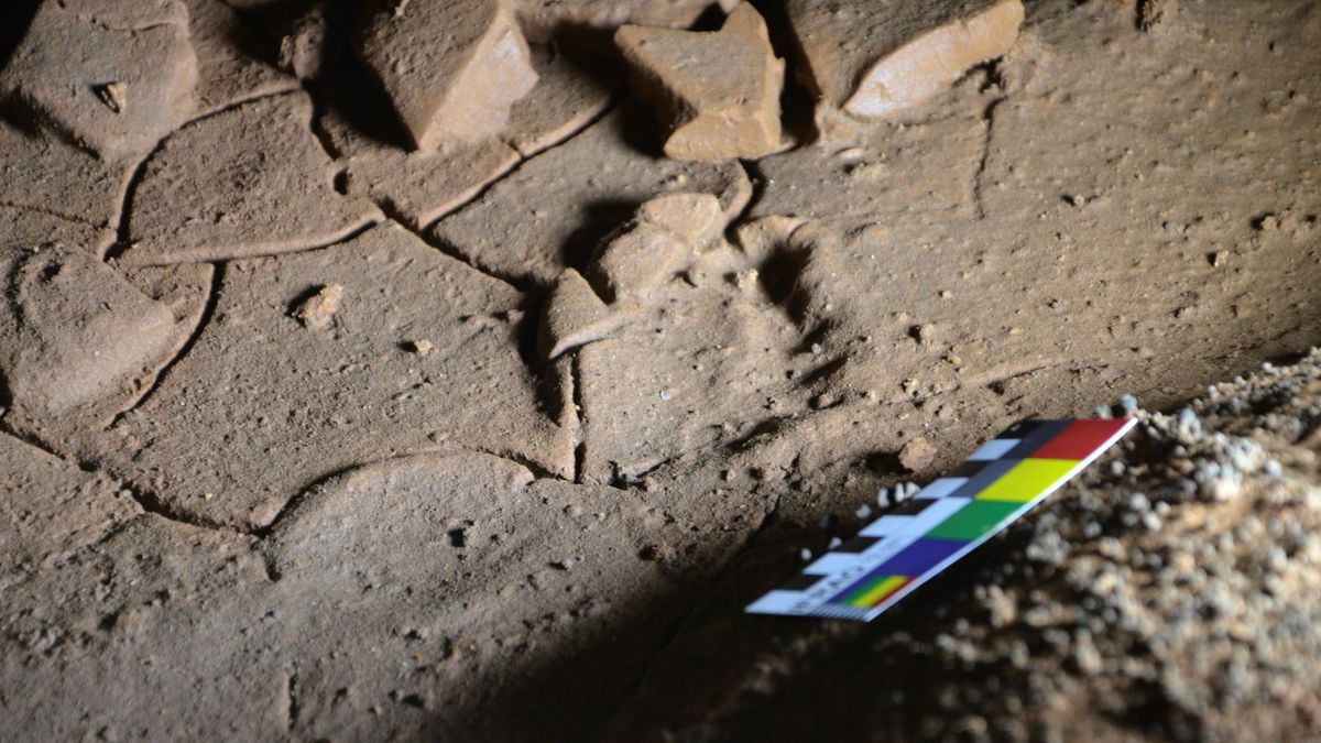 Hallan en la cueva cántabra de La Garma huellas de pies de niños de hace 16.500 años