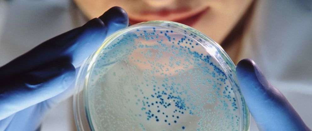 Foto: CRE, la 'bacteria pesadilla'  que asedia a los hospitales de EEUU