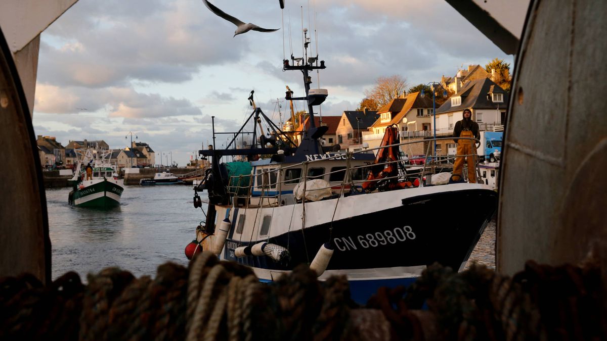 La guerra de la vieira: pesqueros franceses y británicos se enfrentan en el Canal