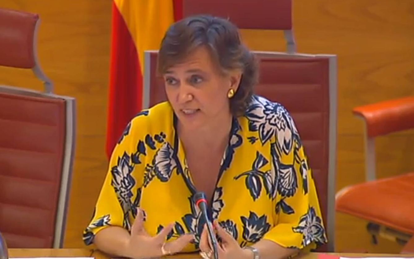 Laura López de Cerain, en una comparecencia en el Senado.