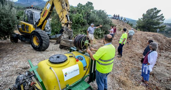 Foto: Alcaldes y agricultores de Guadalest paralizan la tala de almendros. (David Revenga)