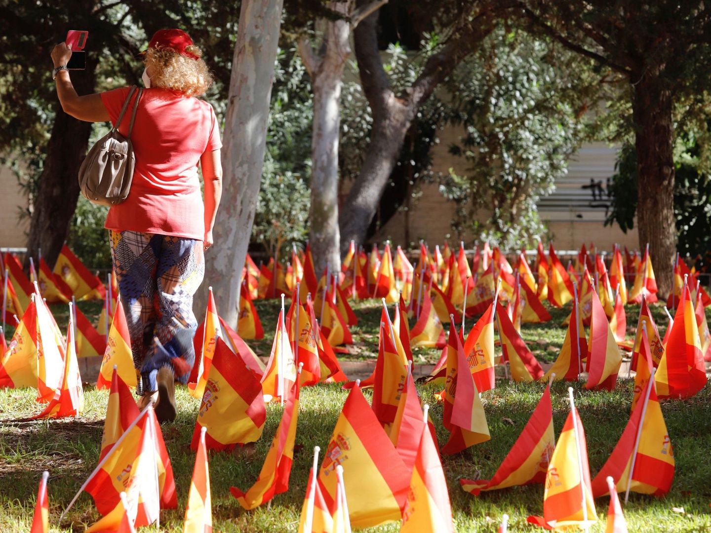 La Asociación Nacional de Víctimas y Afectados por Coronavirus ha plantado en la mediana ajardinada de una de las principales avenidas de Murcia miles de banderas de España en homenaje simbólico a los fallecidos. (EFE)