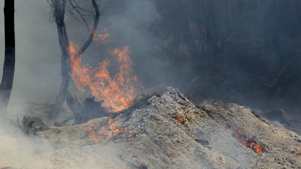 Las llamas queman 350 hectáreas en el incendio de Arbo (Pontevedra)