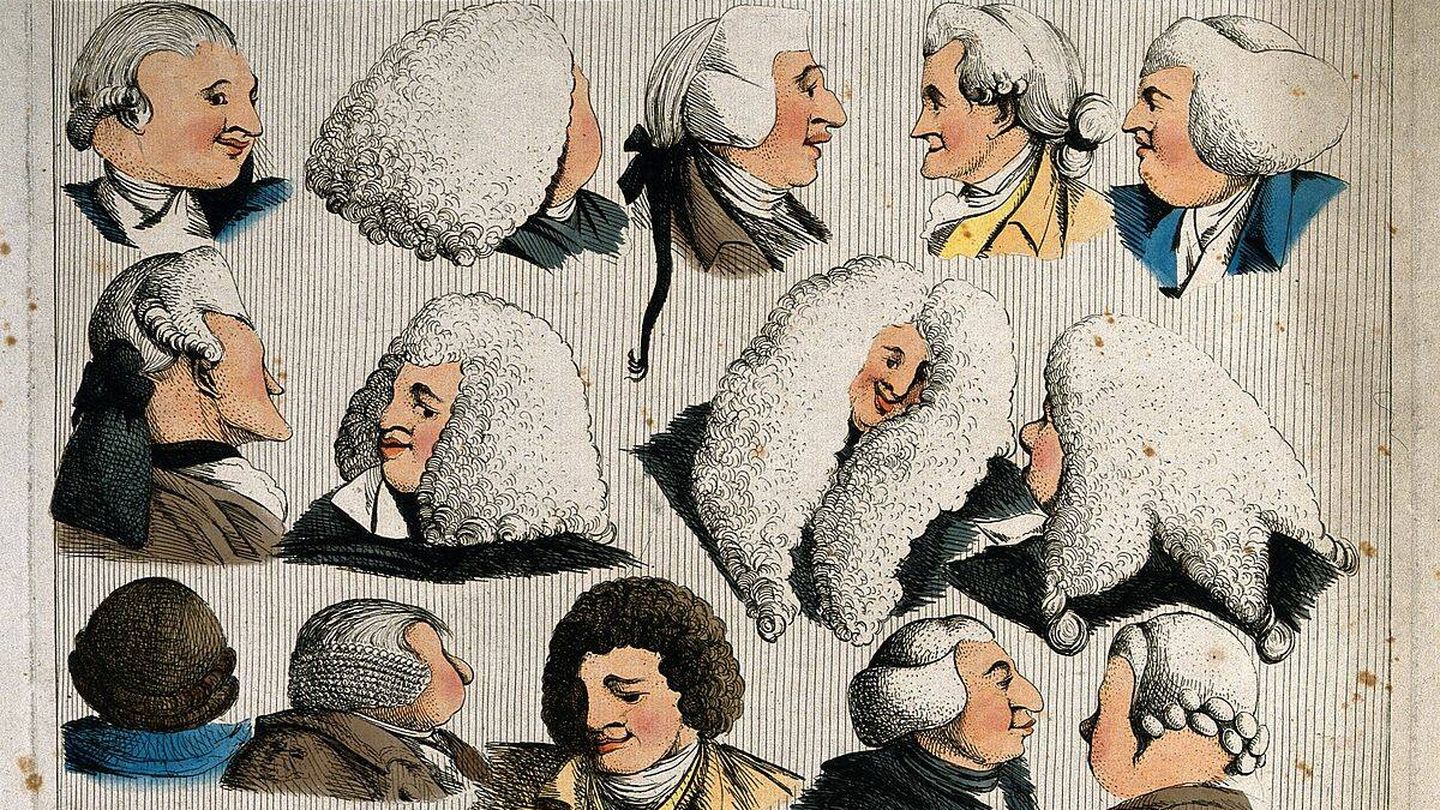 Ilustración con catorce cabezas que muestran diferentes tipos de pelucas para hombres en el siglo XVIII. (Wikimedia)
