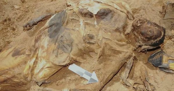 Foto: La momia del ataúd de hierro, en el momento de ser encontrada. (FOTO: PBS)