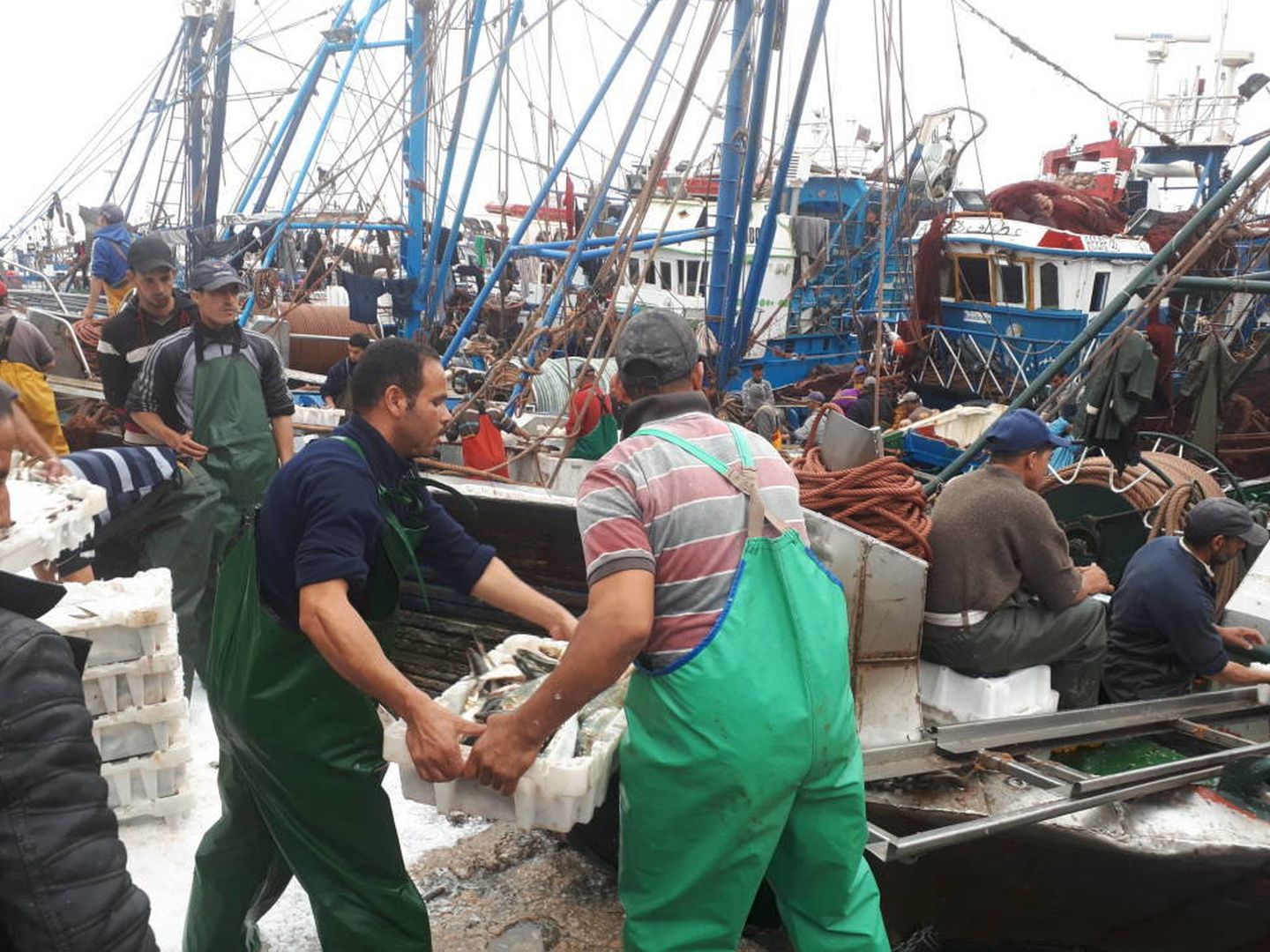 Al menos 40.000 personas se dedican a la pesca en la región de Dakhla. (M. V.)