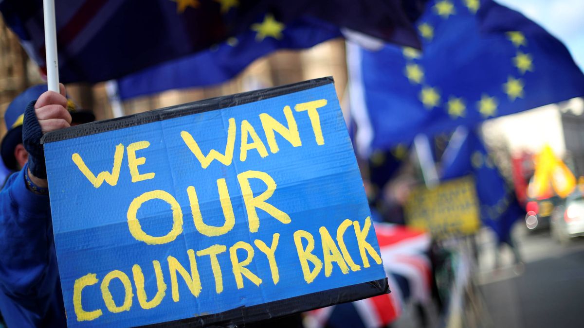 Renew: el partido que quiere revertir el Brexit ya es una realidad