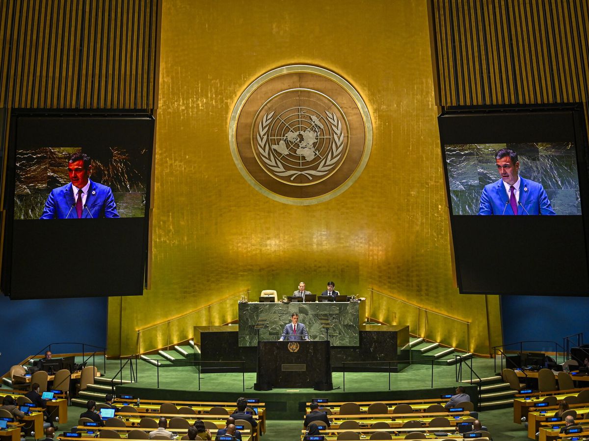Foto: Pedro Sánchez, en la Asamblea General de la ONU. (EFE/Miguel Rodríguez)