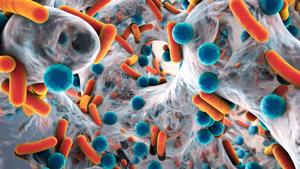 La resistencia a los antibióticos: el reto de frenar nuestra futura primera causa de muerte