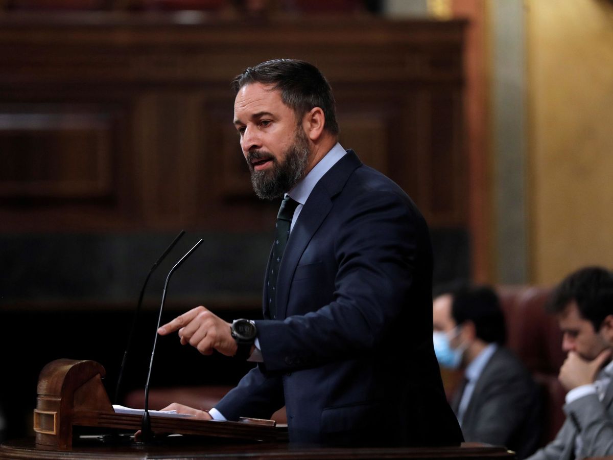 Foto: El líder de Vox, Santiago Abascal, este miércoles en la sesión del Congreso. (EFE)