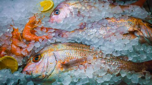 Los pescados que costarán el doble y es mejor comprar y congelar ahora