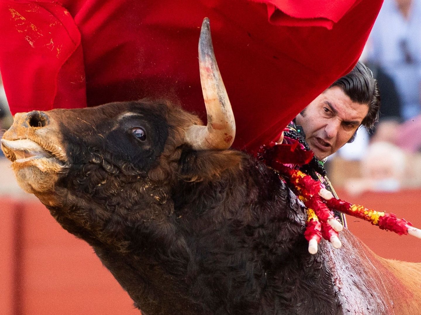El diestro Morante de La Puebla con su primer toro durante la corrida con toros de Juan Pedro Domecq. (EFE) 