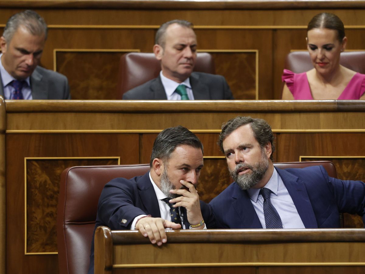 Foto: El líder de Vox, Santiago Abascal; y su portavoz parlamentario, Iván Espinosa de los Monteros (EFE/Mariscal)
