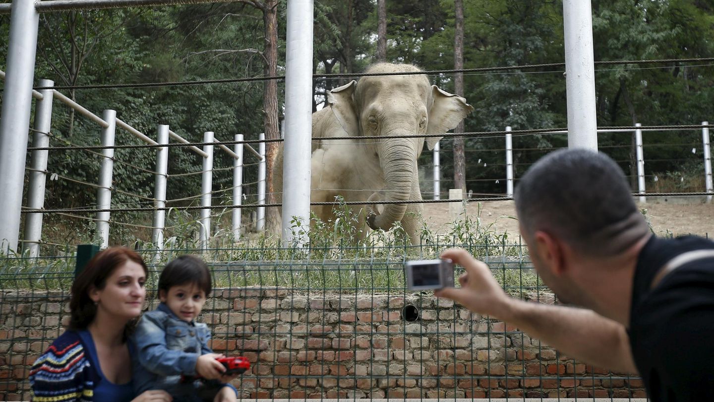 Una familia georgiana se fotografía con un elefante. (Reuters/David Mdzinarishvili)